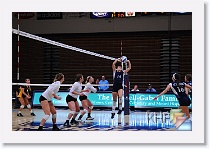 Set 3 * (116 Slides)